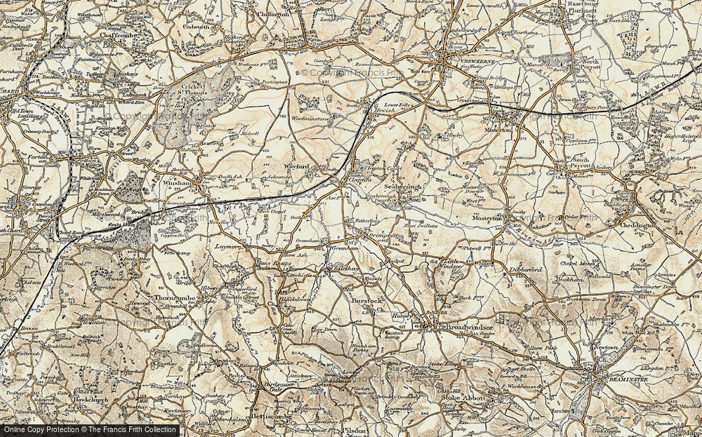 Old Map of Drimpton, 1898-1899 in 1898-1899