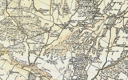 Old map of Monkdown Wood in 1897-1898