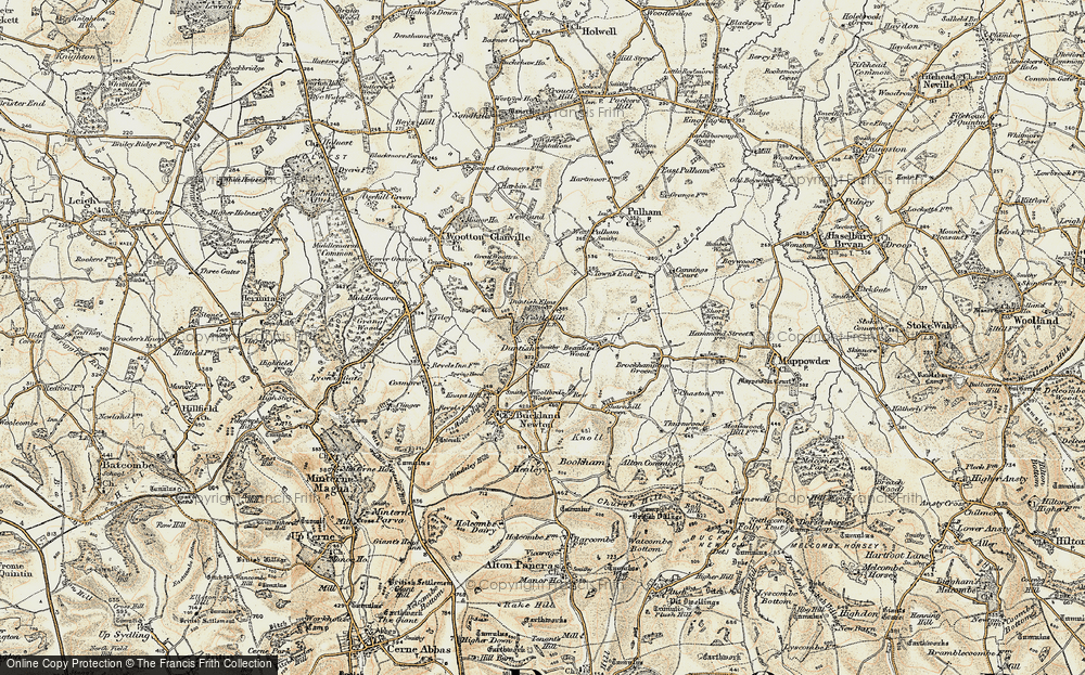 Old Map of Duntish, 1899 in 1899