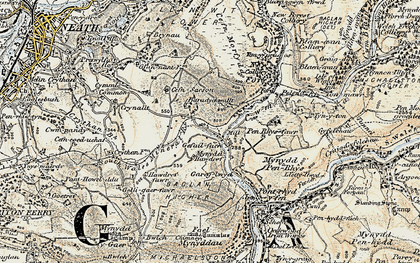Old map of Baradychwallt in 1900-1901