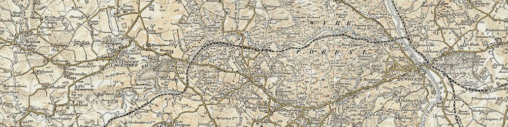 Old map of Brandlodge Coppice in 1901-1902