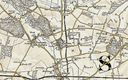 Old map of Fornham St Martin in 1901