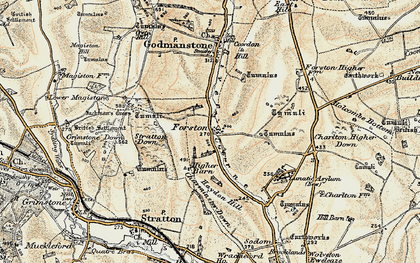 Old map of Forston in 1899