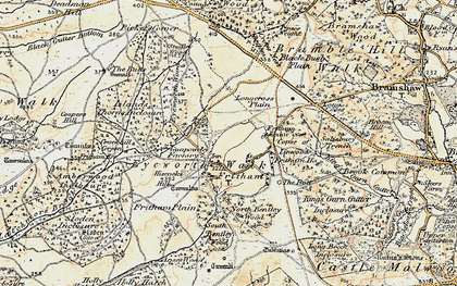 Old map of Anses Wood in 1897-1909