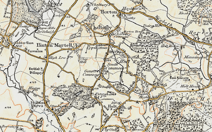 Old map of Gaunt's Common in 1897-1909