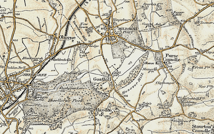 Old map of Goathill in 1899