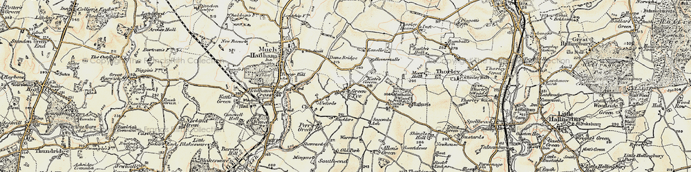 Old map of Green Tye in 1898-1899