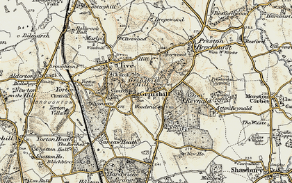 Old map of Woodstile in 1902