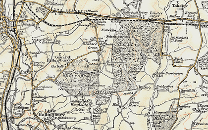 Old map of Woods, The in 1898-1899