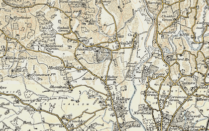 Old map of Hallow Heath in 1899-1902