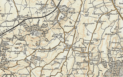 Old map of Halstock in 1899
