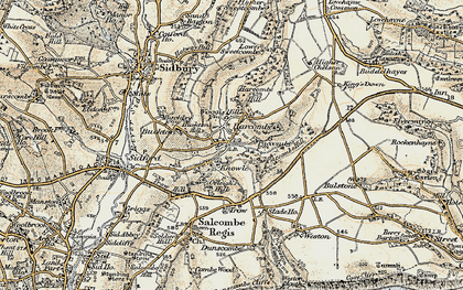 Old map of Buckton Hill in 1899