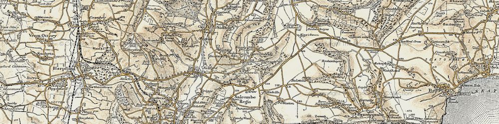 Old map of Harcombe in 1899