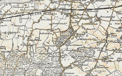 Old map of Herne Common in 1898-1899