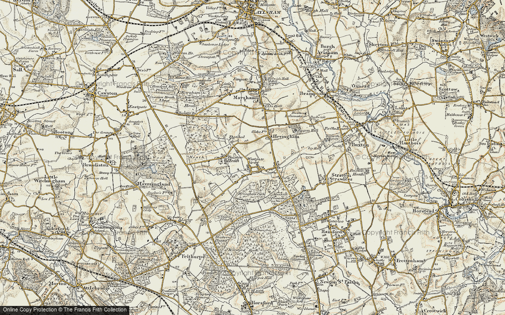 Old Map of Hevingham, 1901-1902 in 1901-1902