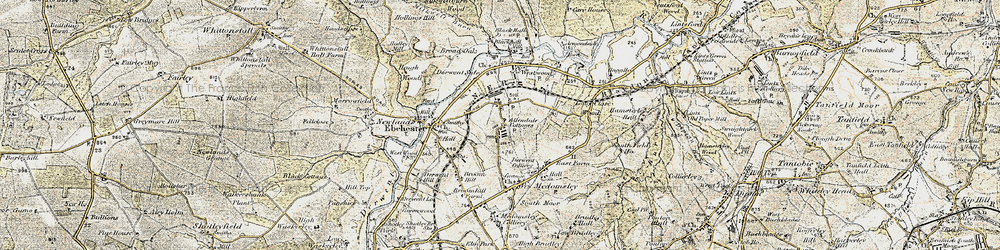 Old map of High Westwood in 1901-1904