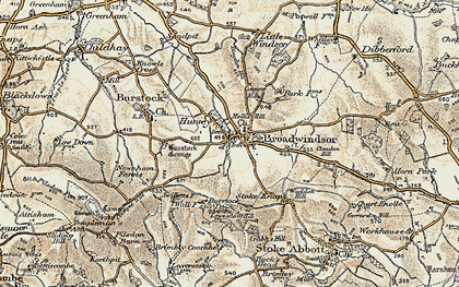 Old map of Burstock Down in 1898-1899
