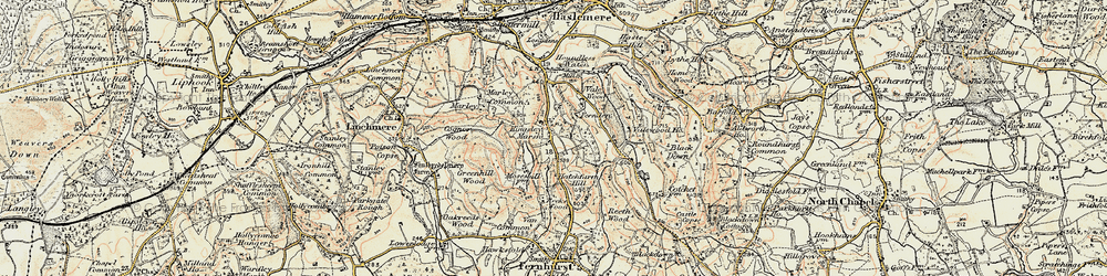 Old map of Kingsley Green in 1897-1900