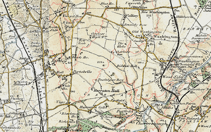 Old map of Lambton in 1901-1904