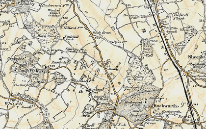 Old map of Newton Wood in 1898-1899