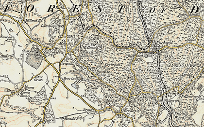 Old map of Little Drybrook in 1899-1900