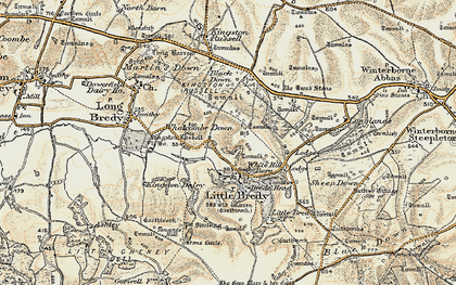 Old map of Littlebredy in 1899