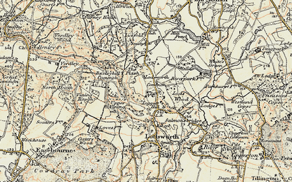 Old map of Lodsworth Common in 1897-1900