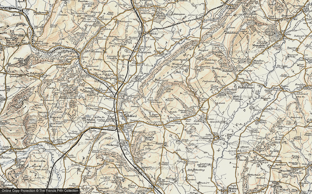 Old Map of Lower Dinchope, 1901-1903 in 1901-1903