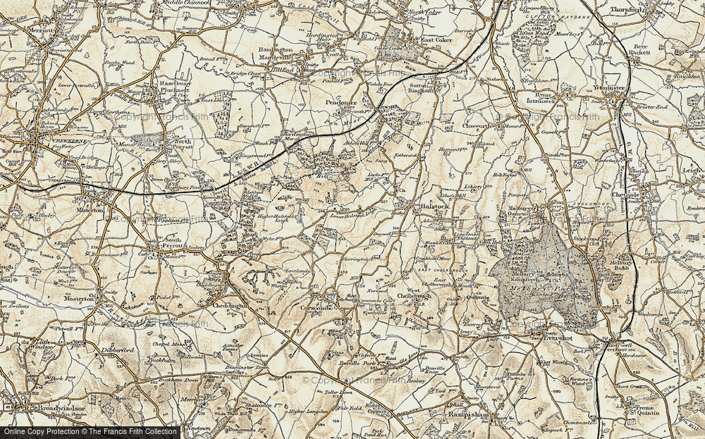 Old Map of Lower Halstock Leigh, 1899 in 1899