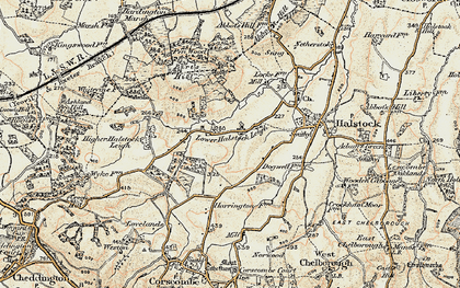 Old map of Lower Halstock Leigh in 1899