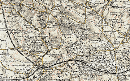 Old map of Manley Common in 1902-1903