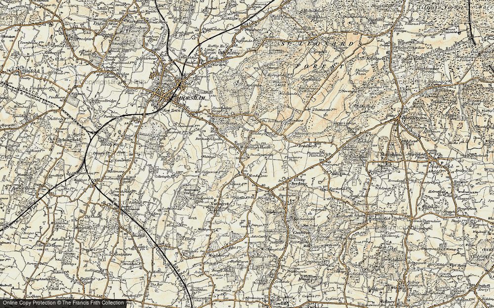 Old Map of Mannings Heath, 1898 in 1898
