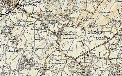 Old map of Mannings Heath in 1898