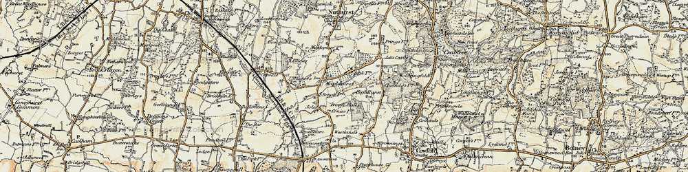 Old map of Maplehurst in 1898