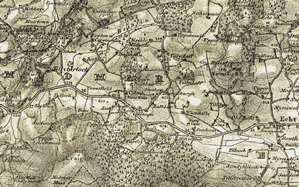 Old map of Marionburgh in 1909