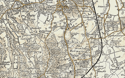 Old map of Abinger Forest in 1898-1909