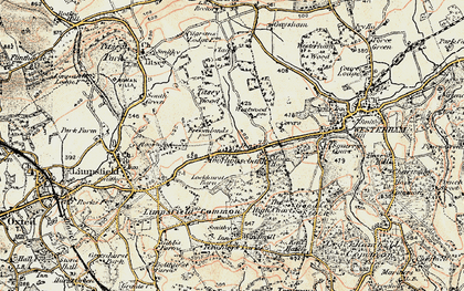 Old map of Titsey Wood in 1898-1902