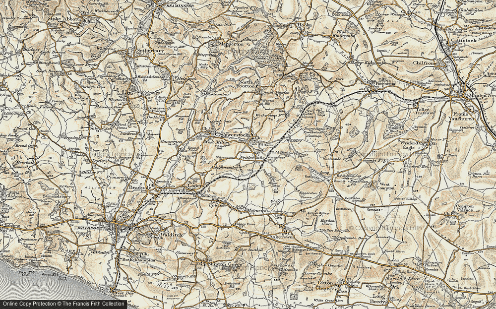 Old Map of Nettlecombe, 1899 in 1899