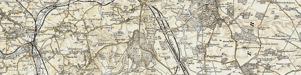 Old map of Newstead in 1902