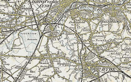 Old map of Newton Wood in 1903