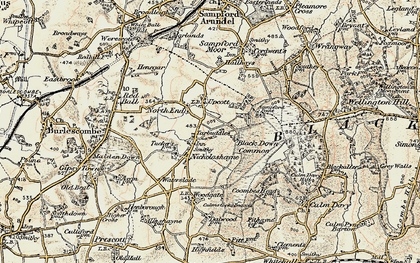 Old map of Nicholashayne in 1898-1900