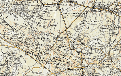 Old map of Bramshaw Wood in 1897-1909