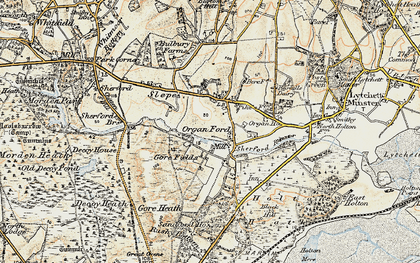 Old map of Organford in 1899-1909