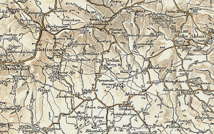 Old map of Pilsdon in 1898-1899