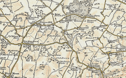 Old map of Privett in 1897-1900