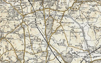 Old map of Rhewl in 1902