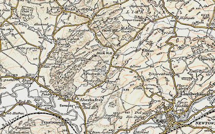 Old map of Bryn-y-pentre Wood in 1902-1903