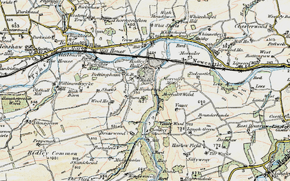 Old map of Lees Heugh in 1901-1904