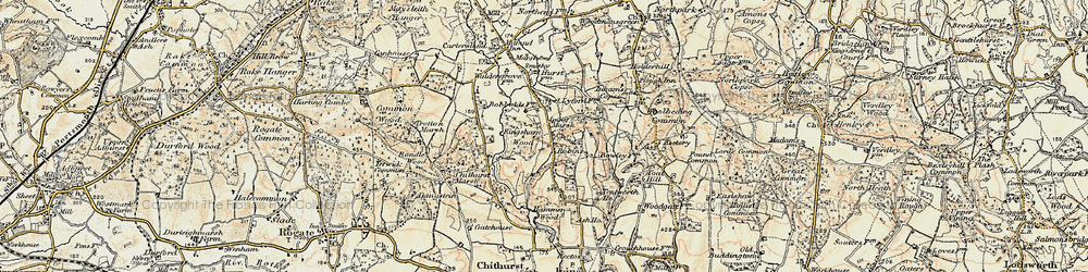 Old map of Borden Wood in 1897-1900