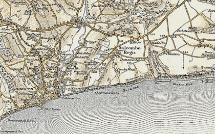 Old map of Salcombe Regis in 1899